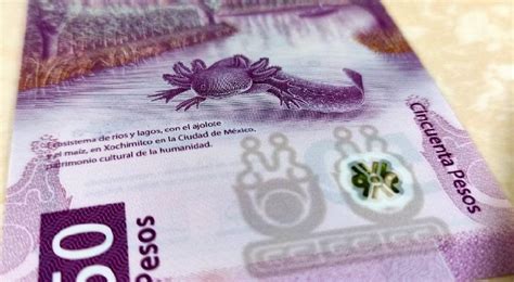 El más bonito del mundo Billete del Ajolote recibe premio 2021