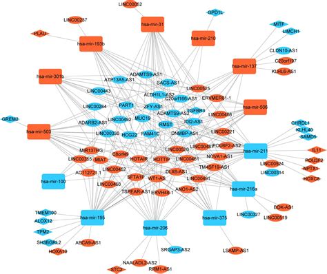 Frontiers Analysis Of LncRNA Mediated CeRNA Crosstalk And