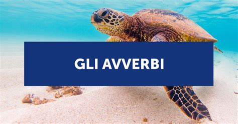 Avverbi In Inglese Cosa Sono E Come Si Usano Con Esempi