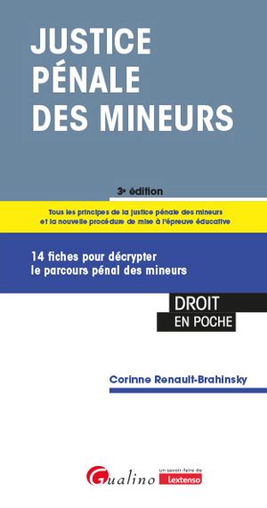 Corinne Renault Brahinsky Justice pénale des mineurs 14 fiches pour