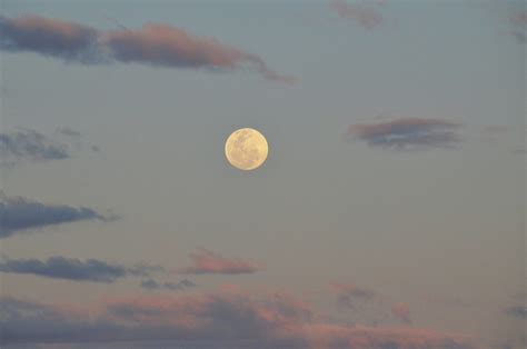 De Volle Maan Van Maart In Leeuw En Uttara Phalguni In Vedische