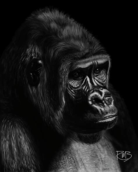 Gorilla My Dreams Digital Art By Robert Bovasso Pixels