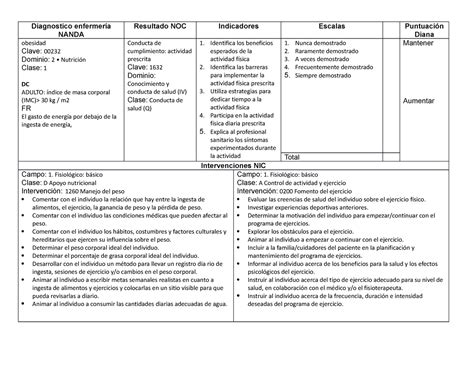 Place De Obesidad Plan De Cuidados Echo Por Un Estudiante De