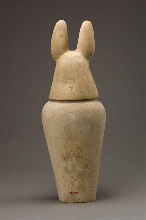 Canopic Jar With Jackal Head Third Intermediate Period The Metropolitan Museum Of Art