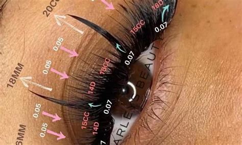 NAKED WISPY WET LOOK STRIP LASH SET Lash Training Lash Artist