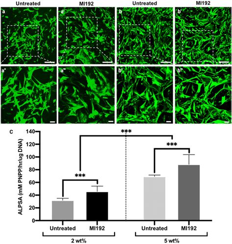 The Influence Of Silk Concentrations On Hdpsc Viability And Osteogenic