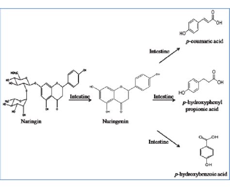 Figure From Synergistic Effect Of Fluorouracil Combined With