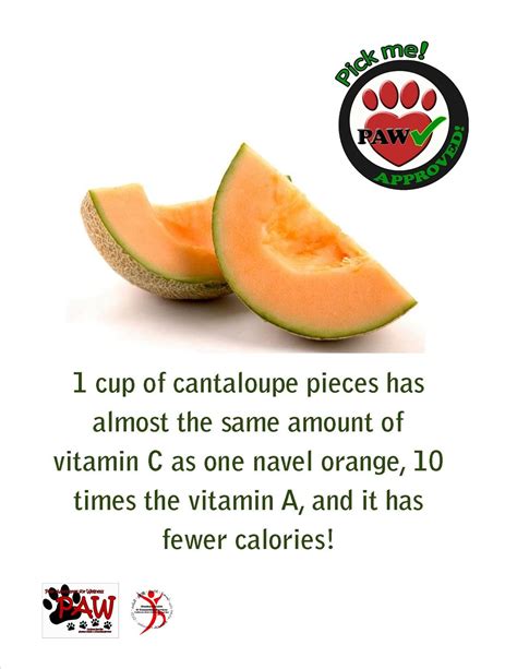 Try This Tuesday 1 Cup Of Cantaloupe Pieces Has Almost The Same Amount