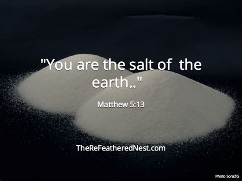 You Are The Salt Of The Earth