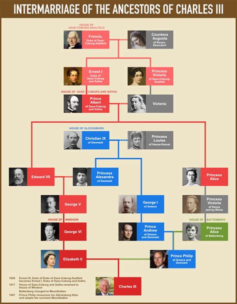 Tsars and Emperors of Russia family tree chart : r/UsefulCharts