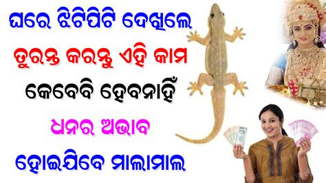 ଘରେ ଝିଟିପିଟି ଦେଖିବା ମାତ୍ରେ ତୁରନ୍ତ କରି ନିଅନ୍ତୁ ଏହି କାମ । କେବେବି ହେବ