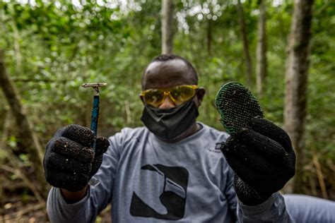 Iniciativa Pioneira Garante Renda A Catadores E Ba A De Guanabara Mais