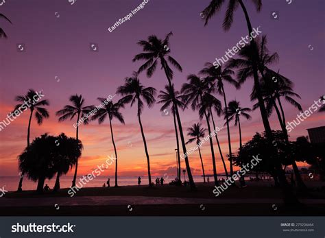 6,575 Honolulu sunset Images, Stock Photos & Vectors | Shutterstock