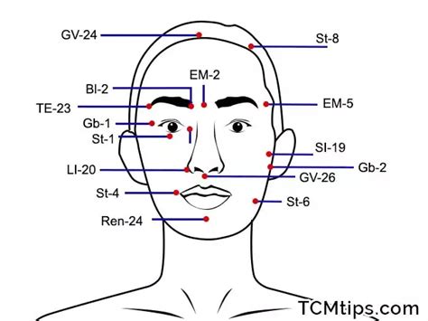 Acupressure Points Chart Artofit