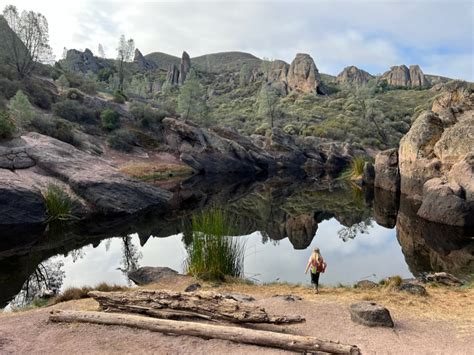 Protecting California Condors At Pinnacles National Park - National ...