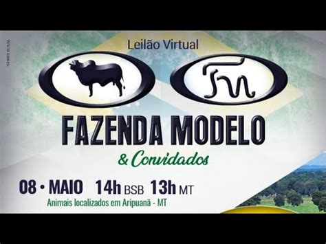 Leilão Virtual Fazenda Modelo Convidados Remate Web YouTube