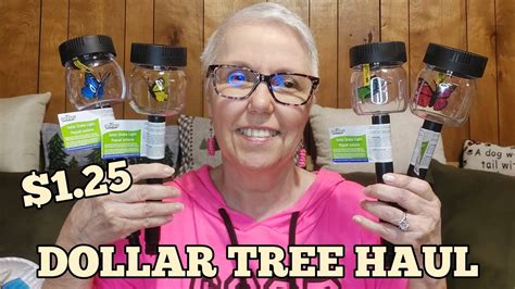 Dollar Tree Haul Wishlist Finds Mic Trouble Dollartree