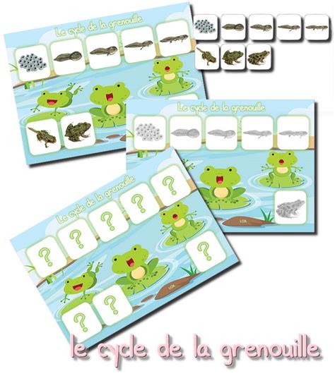 La Maternelle De Laurene Activit S De Grenouille Grenouille