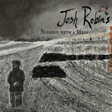 Blessed with a Mess | Josh Robins