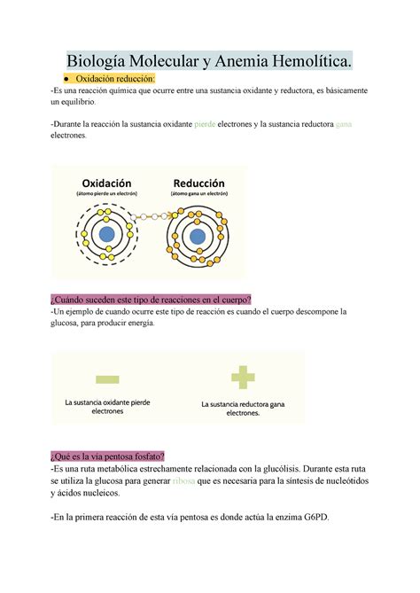 Biolog A Molecular Y Anemia Hemolitica Resumen Aias Biociencias Studocu