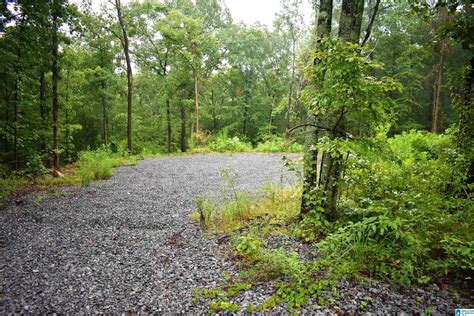 Warrior Blount County Al Undeveloped Land Homesites For Sale