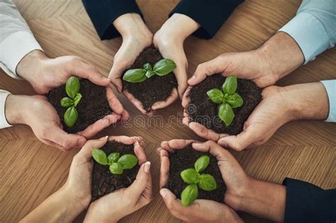 Teamwork Is The Way To Grow A Group Of Businesspeople Holding Plants