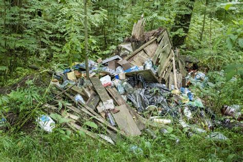 Naturaleza Contaminada Basura En El Bosque Fotos De Stock Fotos