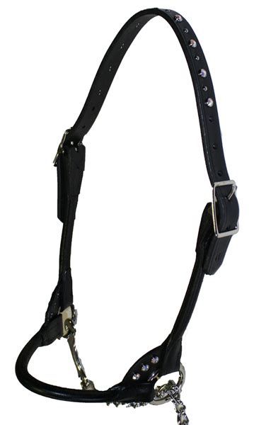 Bling Cattle Show Halter Rrn Highland Livestock Supply Ltd