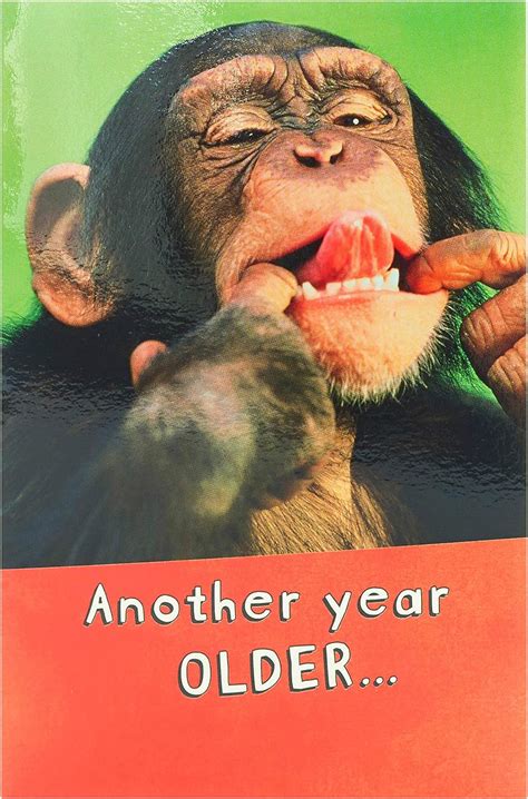 Uk Greetings Birthday Card For Him Her Friend Monkey Design Amazon