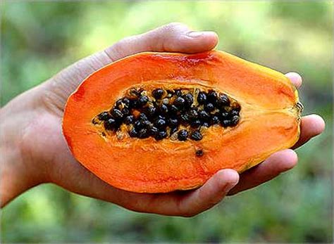 Едим фрукты правильно - Азбука здоровья