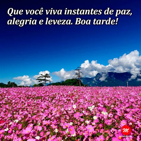 Frase de boa tarde flores Que você viva instantes de paz