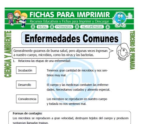 Enfermedades Comunes Para Tercero De Primaria Fichas Para Imprimir Ba8