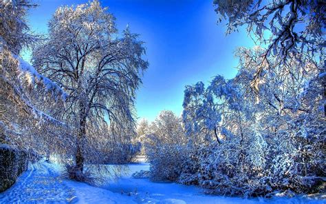 Winter Snow Landscaping Wallpapers Wallpaper Cave