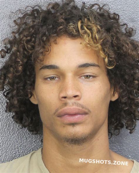 Hamilton Vincent Michael 02132024 Broward County Mugshots Zone