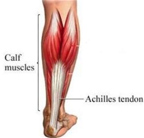 Achilles Pain Assessments In Barnstaple, North Devon | Achilles tendonitis Treatment