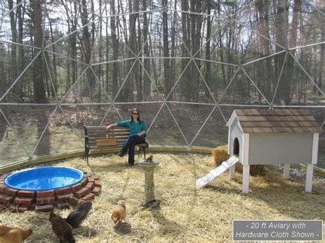 The 25+ best Duck enclosure ideas on Pinterest | Duck pens, Duck coop ...