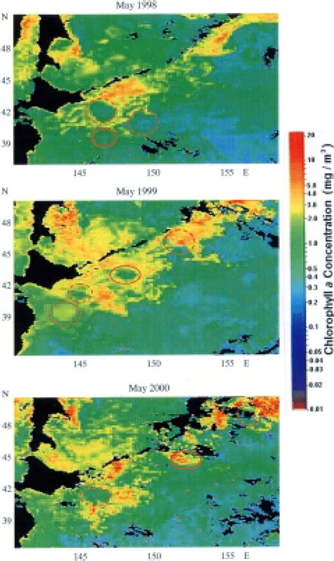 Horizontal Distributions Of Chlorophyll A Concentration For The Kuril Download Scientific