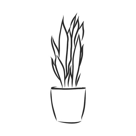 Premium Vector Line Art Plant In Pot Contour Drawing Of Vector