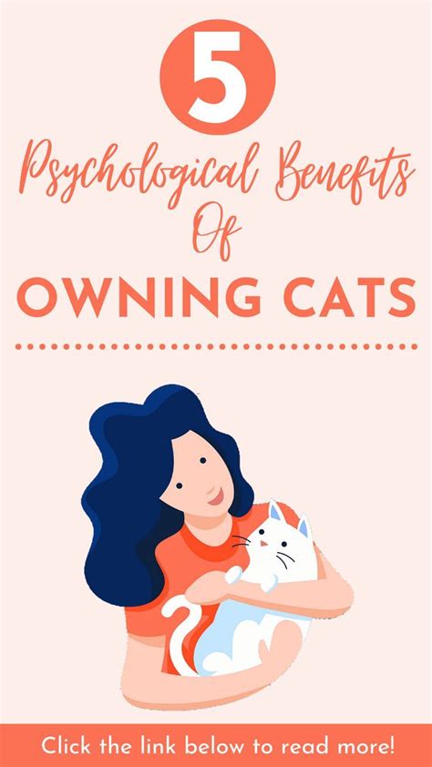 5 Benefits Of Having A Cat Benefits Of A Cat Cat Benefits Cat