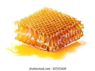 Honeycomb Closeup Stock Photo 337372439 | Shutterstock