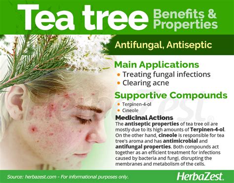 Tea Tree Herbazest