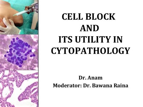 Cell Block In Cytology