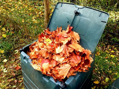 R Utiliser Les Feuilles Mortes Conseils Et Astuces Suivre