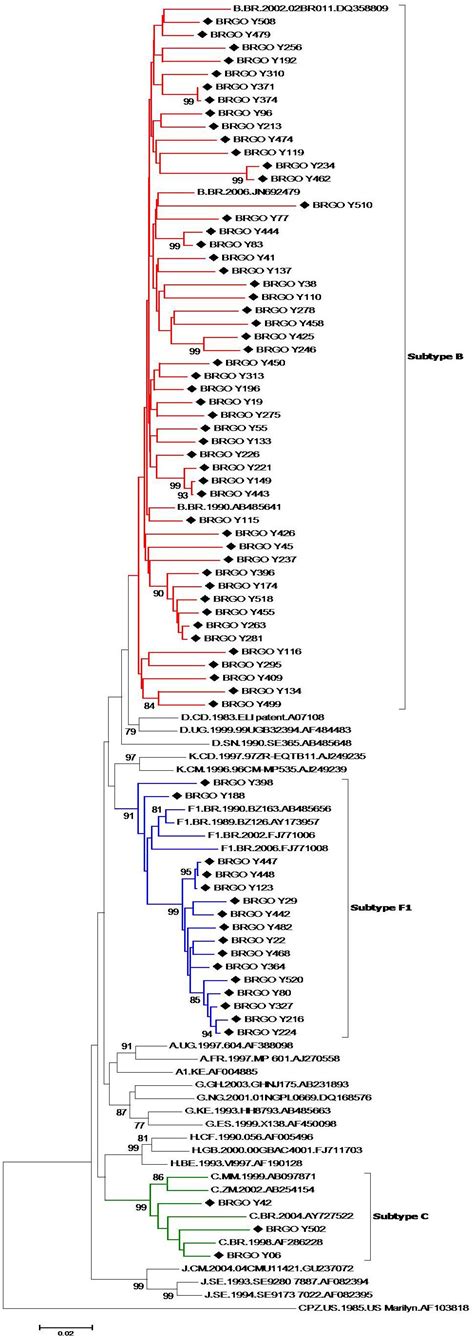 Frontiers Epidemiological And Molecular Characteristics Of Hiv 1