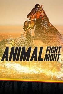 Animal Fight Club Pictures - Rotten Tomatoes