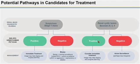 Snmmi Zirconium Labelled Girentuximab Zr Tlx Cdx Pet Ct