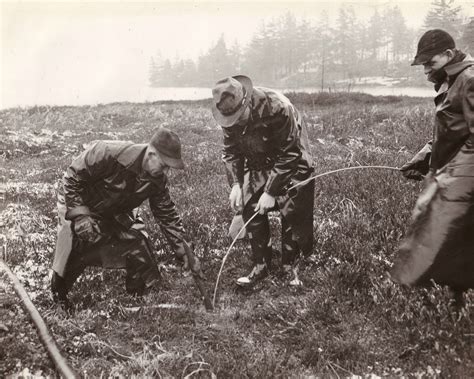 Checking Higleys Floating Island Cables On The Raquette River Near