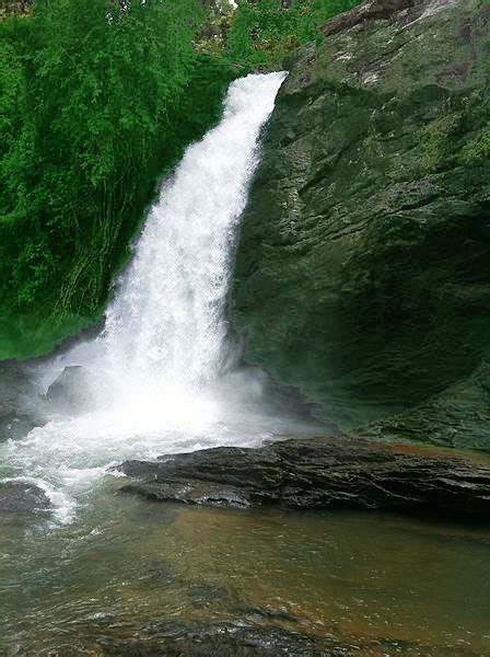 Soochipara Waterfalls - Trip2kerala