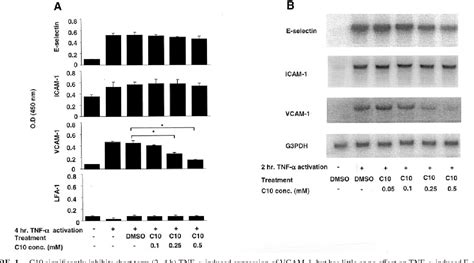 Figure 1 from Phenyl Methimazole Inhibits TNF α Induced VCAM 1