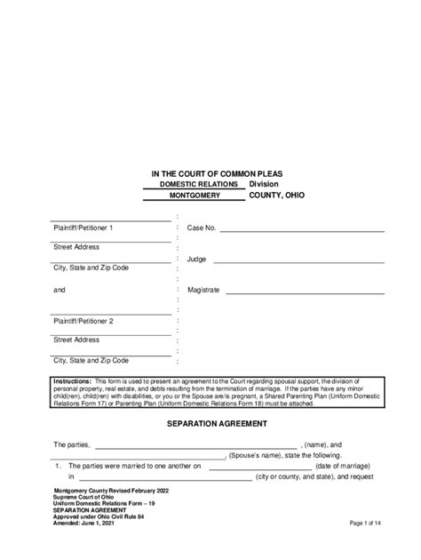 In The COURT Of COMMON PLEAS Domestic Mcohio Org Fill Out And Sign